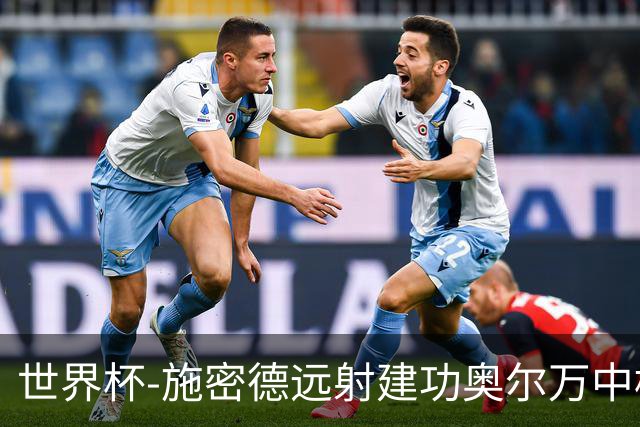 世界杯-施密德远射建功奥尔万中框 半场奥地利1-0约旦