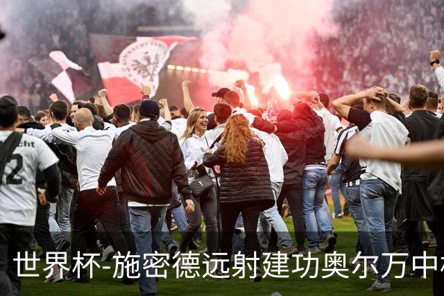 世界杯-施密德远射建功奥尔万中框 半场奥地利1-0约旦