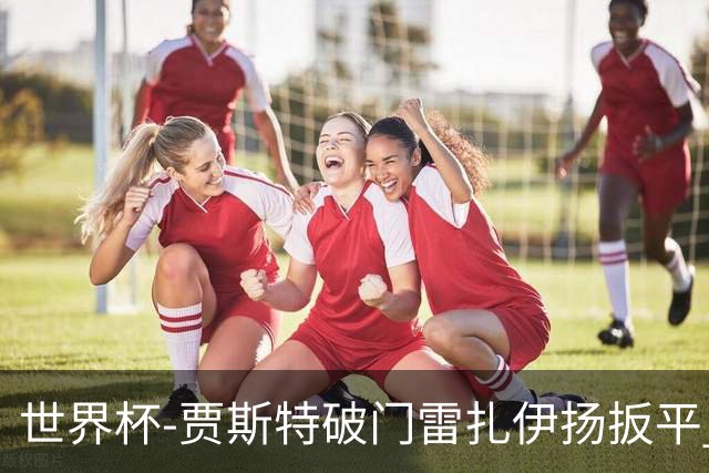 世界杯-贾斯特破门雷扎伊扬扳平 半场伊朗1-1新西兰